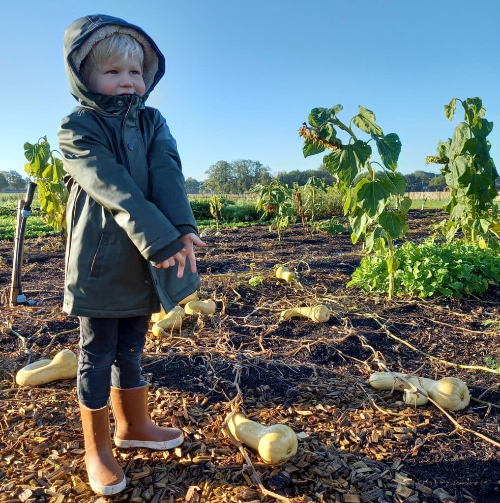 www.lente.land